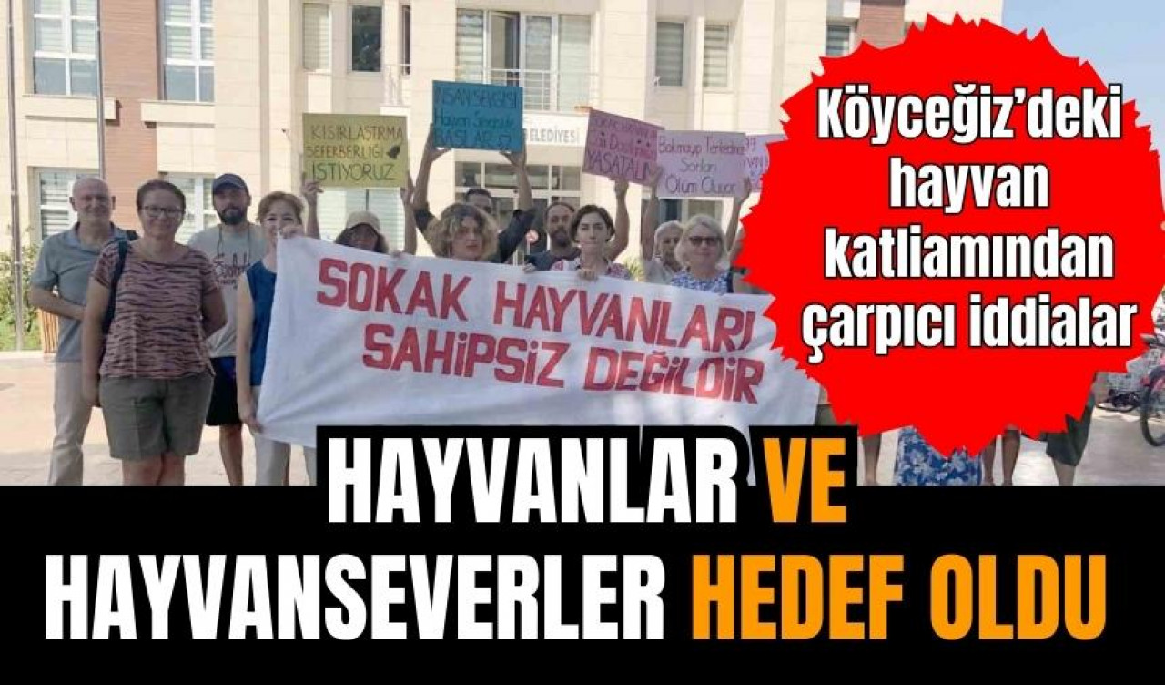 Köyceğiz'de hem hayvanlar hem hayvanseverler hedef oldu