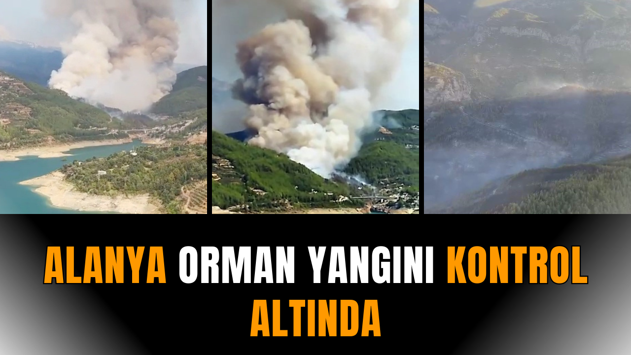 Alanya orman yangını kontrol altında