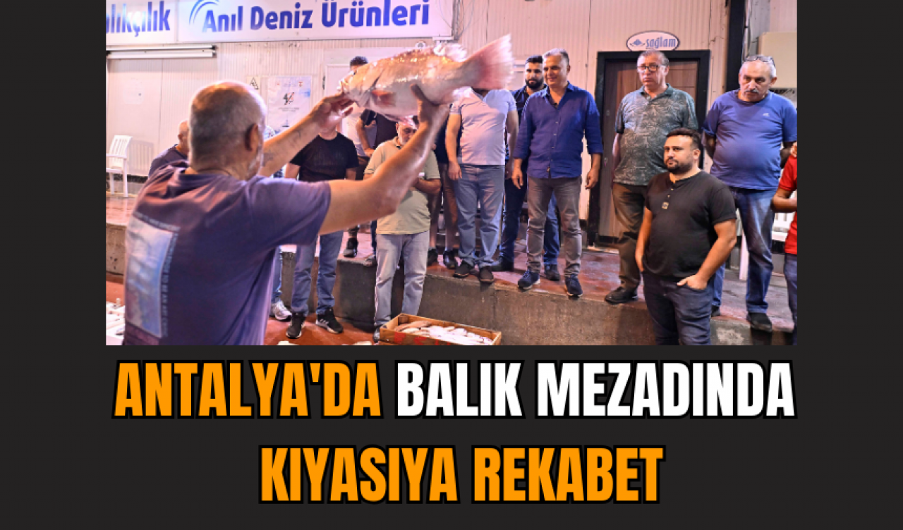 Antalya'da balık mezadında kıyasıya rekabet