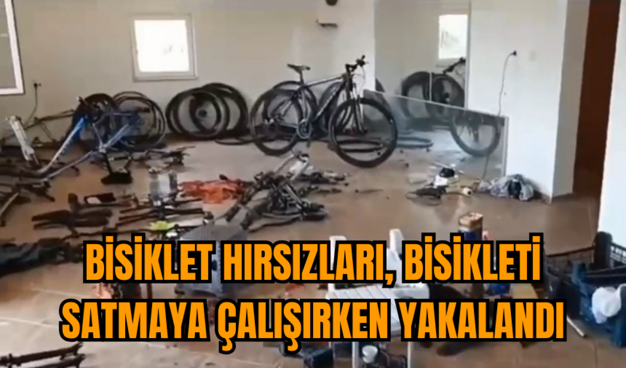 Bisiklet hırsızları, bisikleti satmaya çalışırken yakalandı