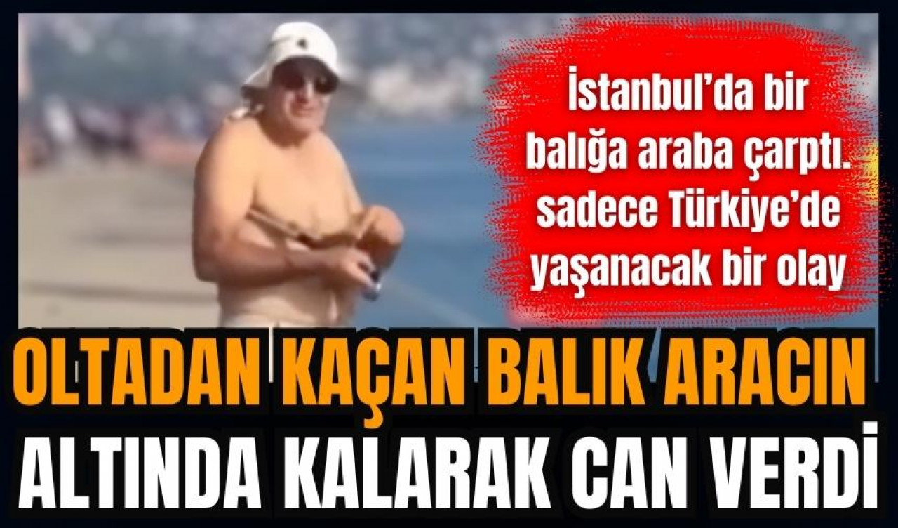 Balıkçının oltasından kaçan balık trafik kazasında öldü