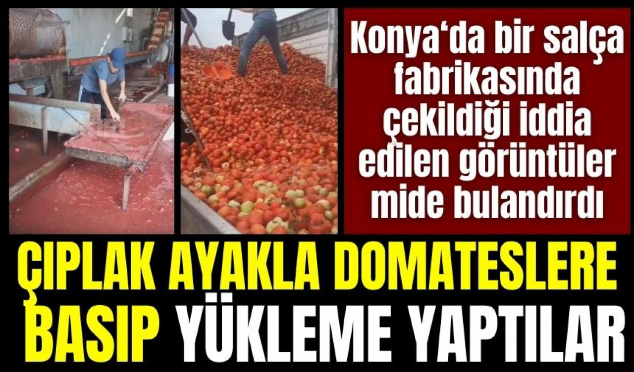 Konya'da bir salça üretim tesisindeki görüntüler mide bulandırdı