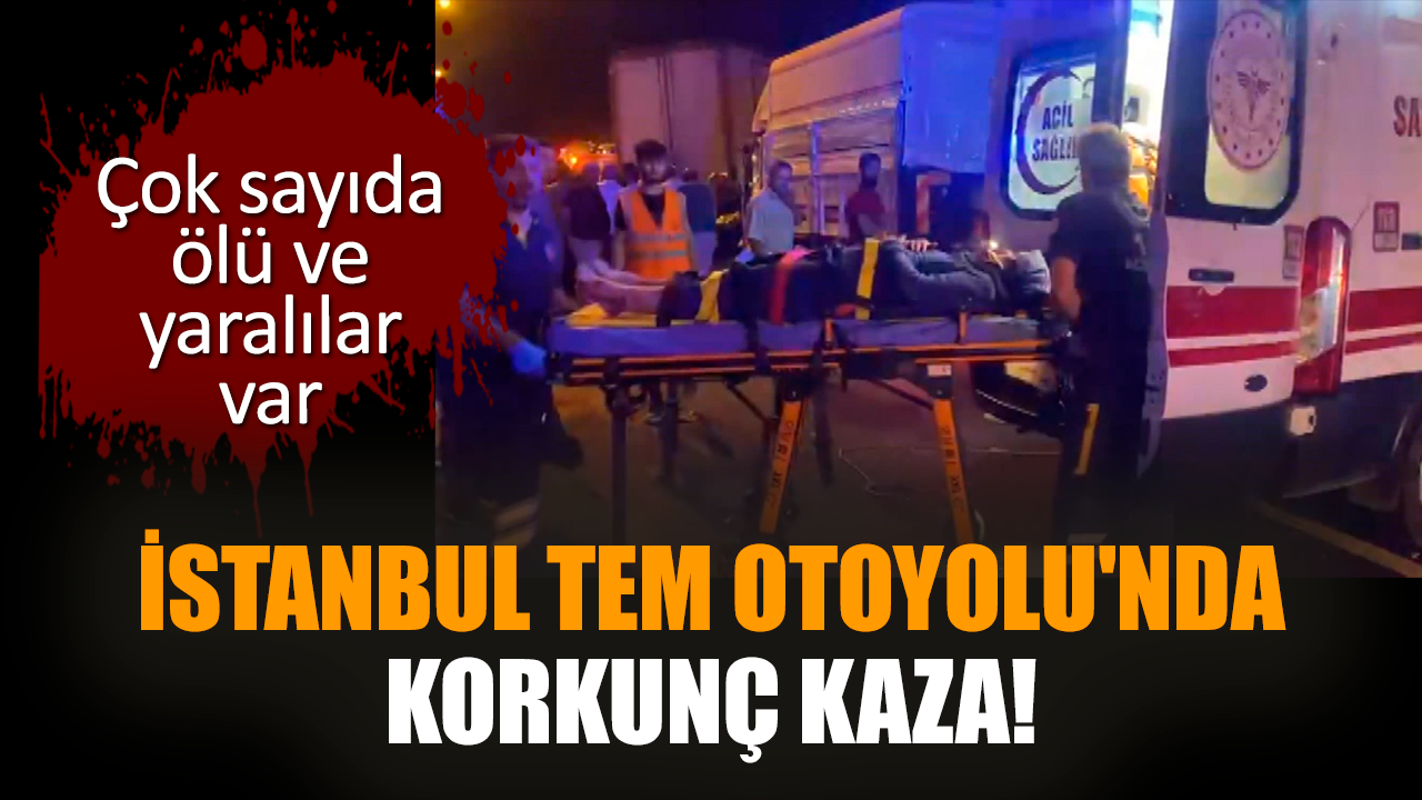 İstanbul TEM Otoyolu'nda korkunç kaza! Ölü ve yaralılar var