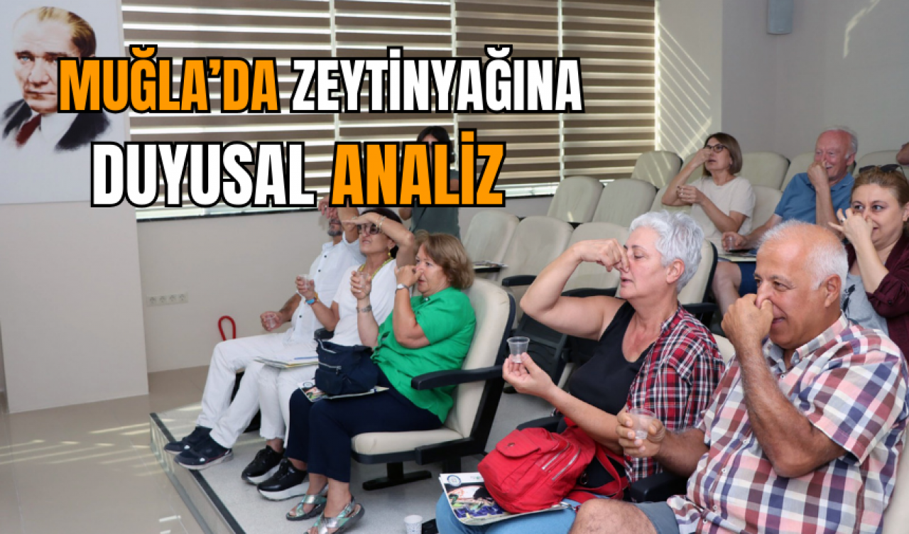 Muğla’da zeytinyağına duyusal analiz   