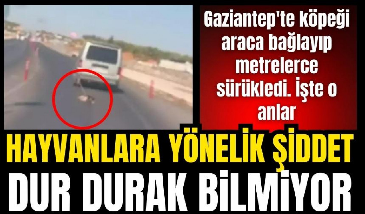 Köpeği araca bağlayıp metrelerce sürükledi