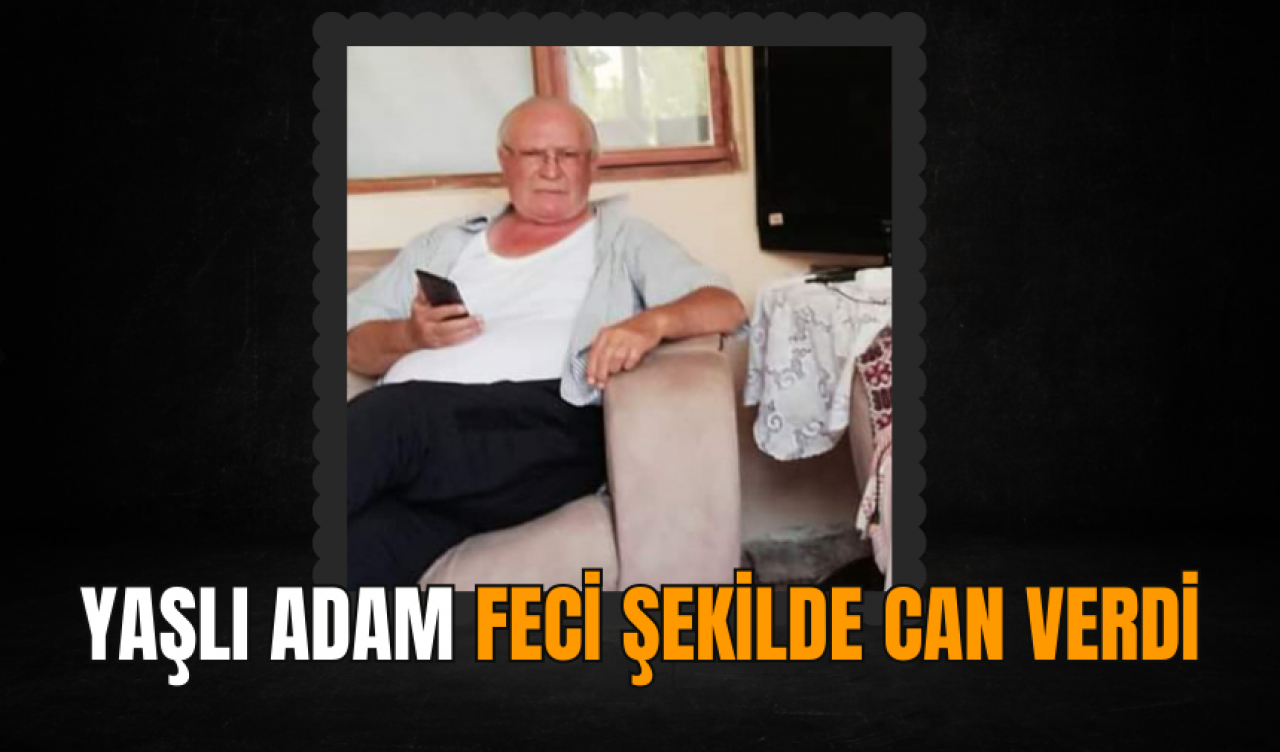 Yaşlı adam feci şekilde can verdi