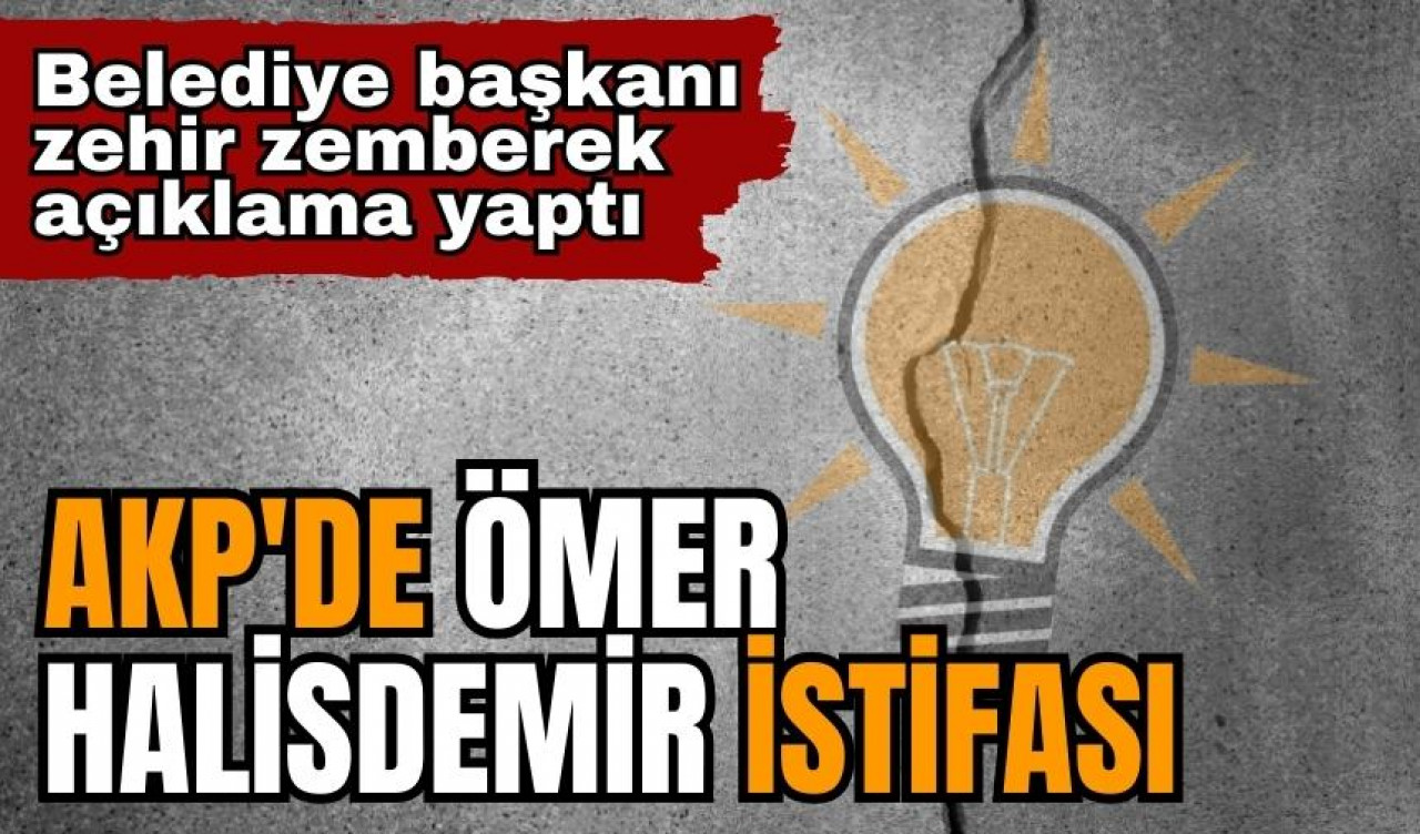 AKP'de Ömer Halisdemir tartışmasında şok istifa