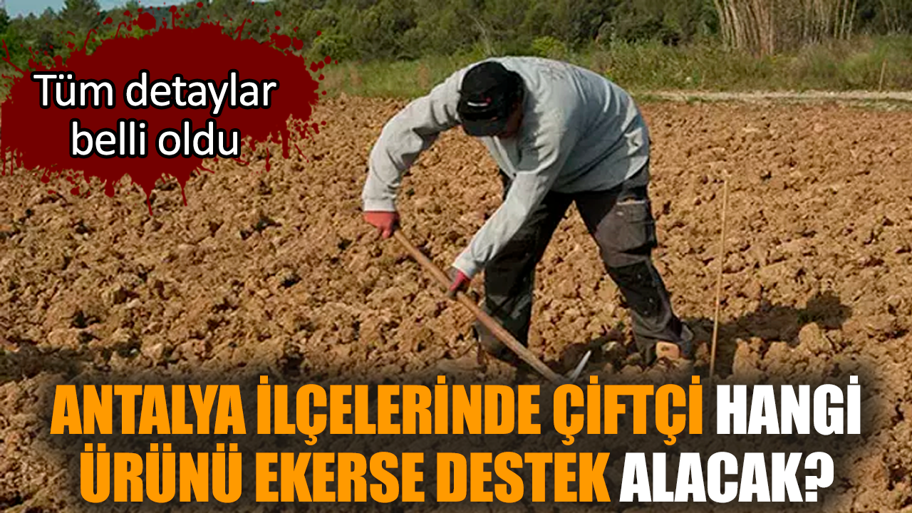 Antalya ilçelerinde çiftçi hangi ürünü ekerse destek alacak?