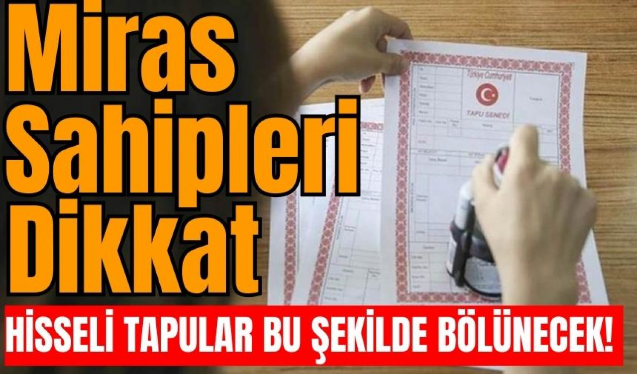 Miras sahipleri dikkat! Hisseli tapular bu şekilde bölünecek!