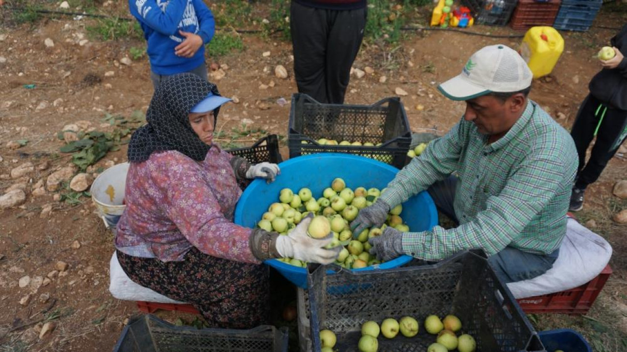 Burdur'un keyifli hasat başladı