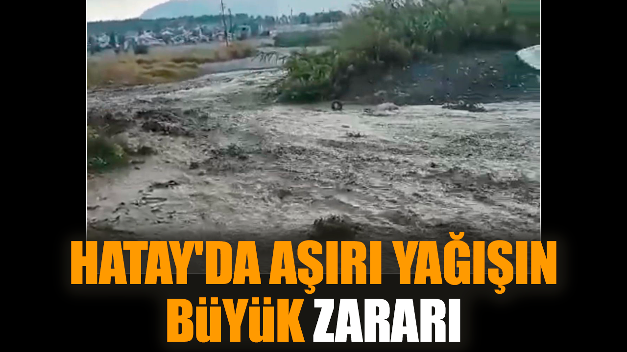 Hatay'da aşırı yağışın büyük zararı