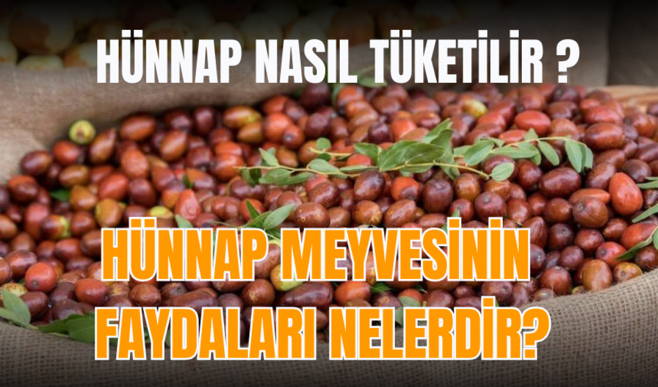 Hünnap meyvesinin faydaları nelerdir? Hünnap nasıl tüketilir?