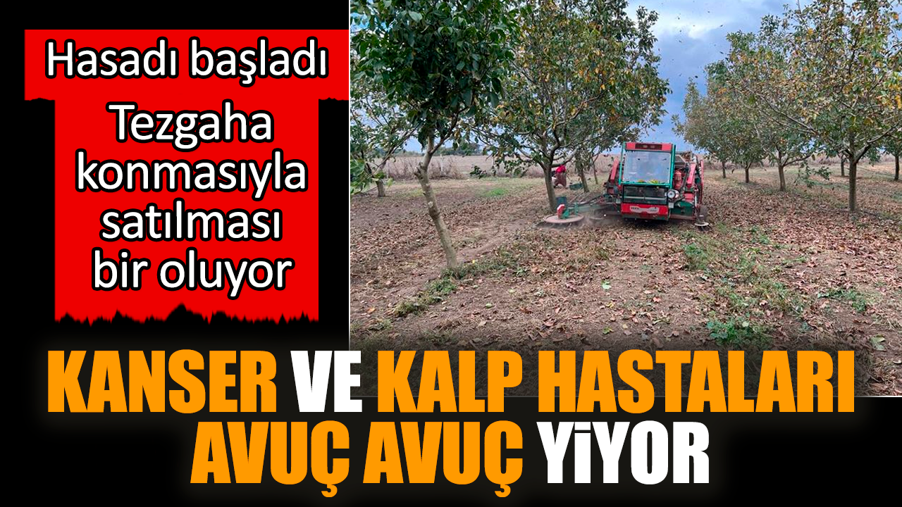 Hasadı başladı kanser ve kalp hastaları avuç avuç yiyor