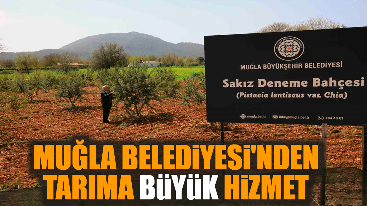 Muğla Belediyesi'nden tarıma büyük hizmet