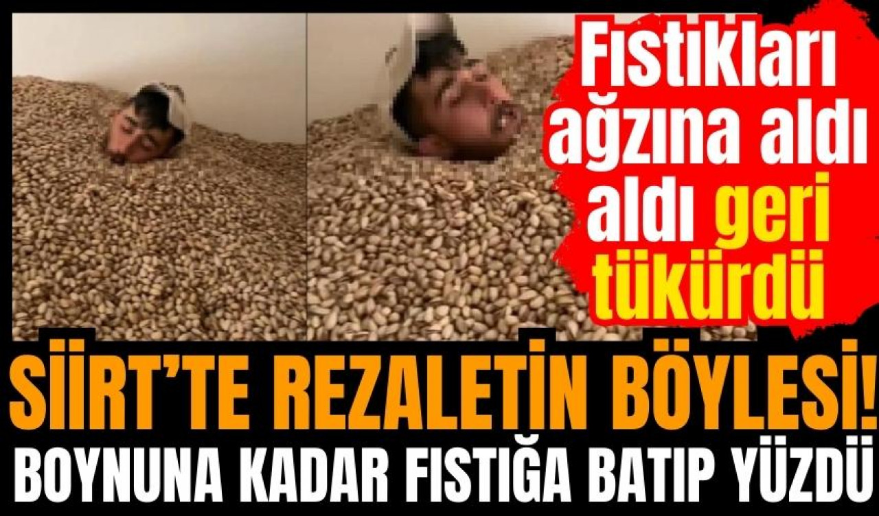 Siirt'te fıstık rezaleti! Fıstıkların arasında yüzüp tükürdü