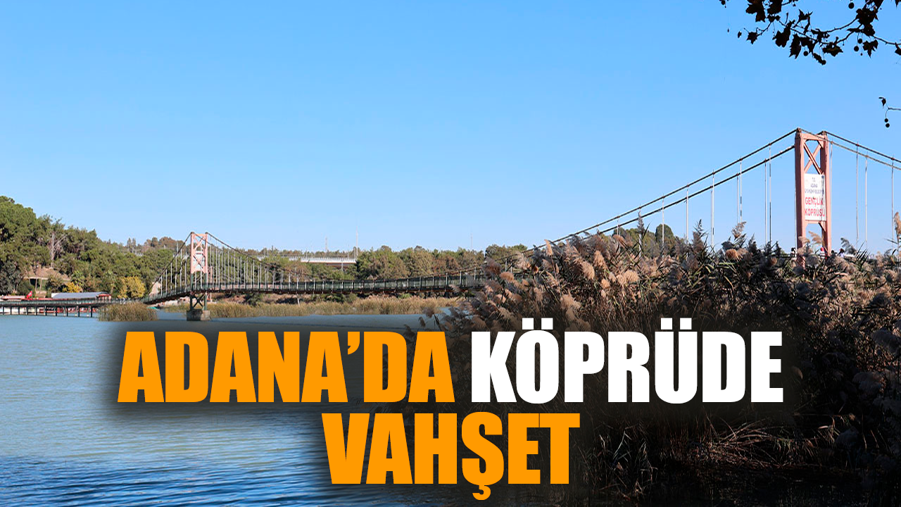 Adana’da köprüde vahşet yaşandı