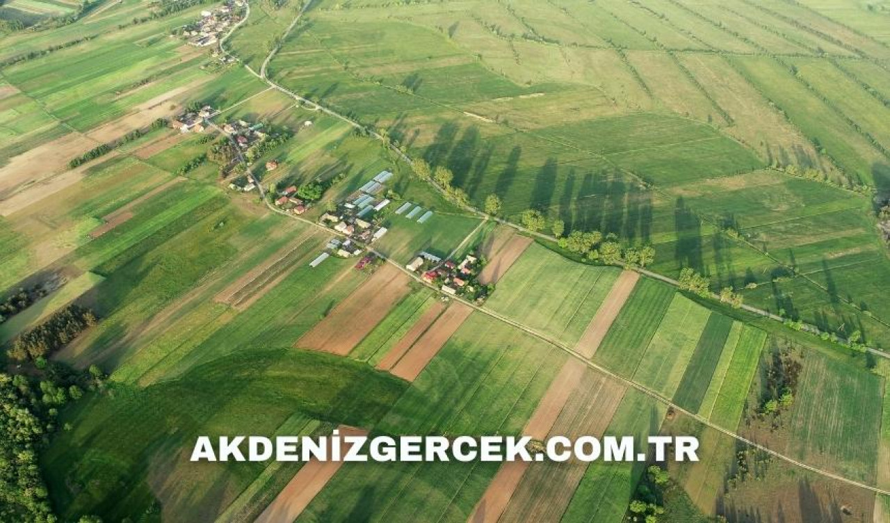 Niğde Bor'da mahkemeden satılık 6.424 m² arsa