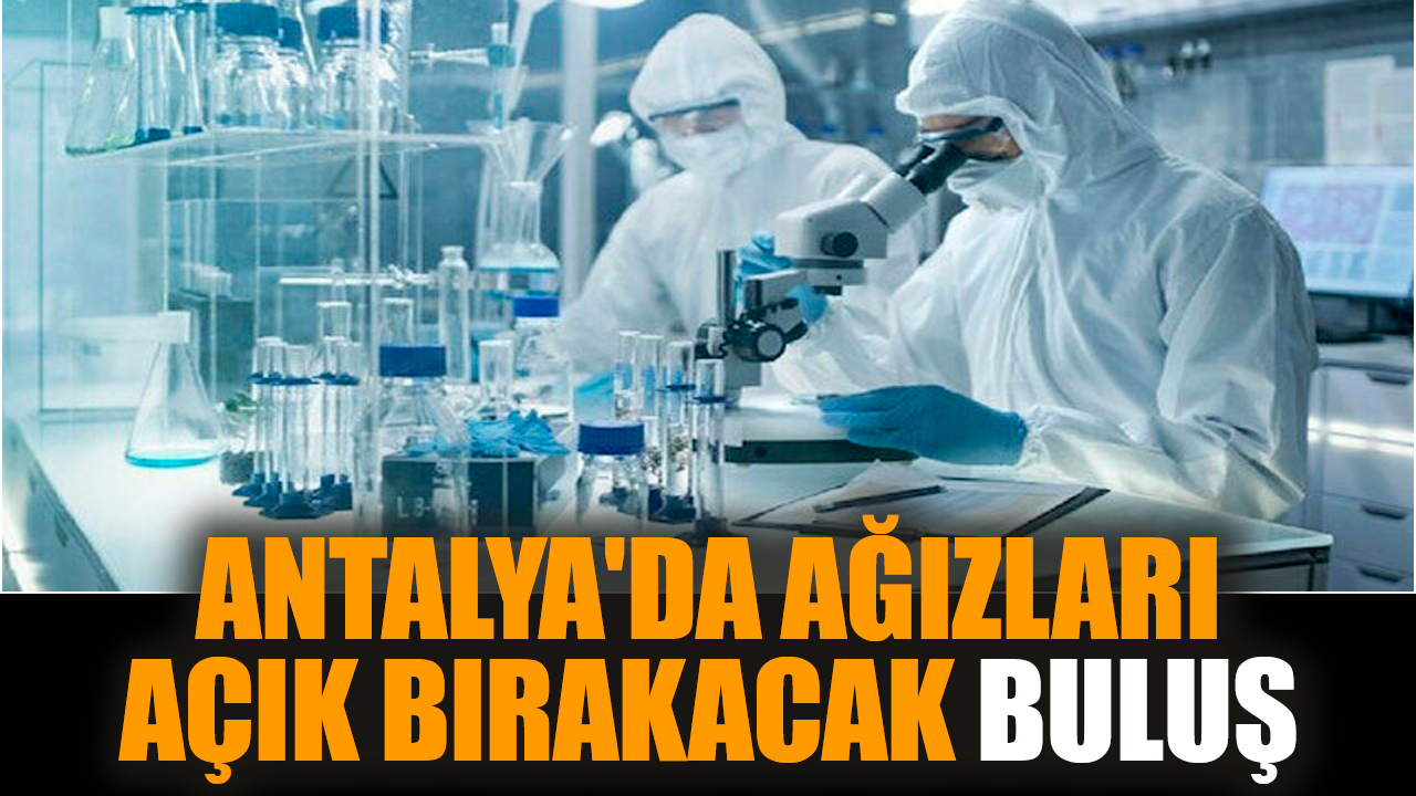 Antalya'da ağızları açık bırakacak buluş