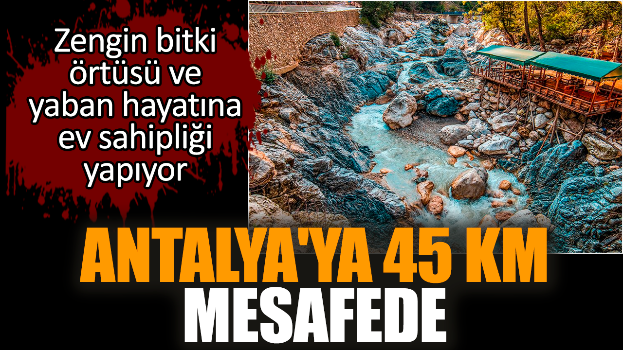 Antalya'ya 45 km mesafede zengin bitki örtüsü ve yaban hayatına ev sahipliği yapıyor