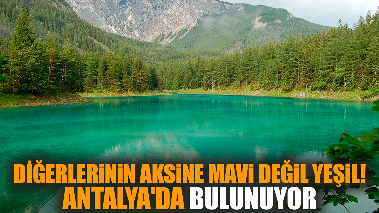 Diğerlerinin aksine mavi değil yeşil! Antalya'da bulunuyor