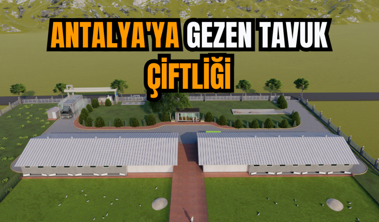 Antalya'ya gezen tavuk çiftliği