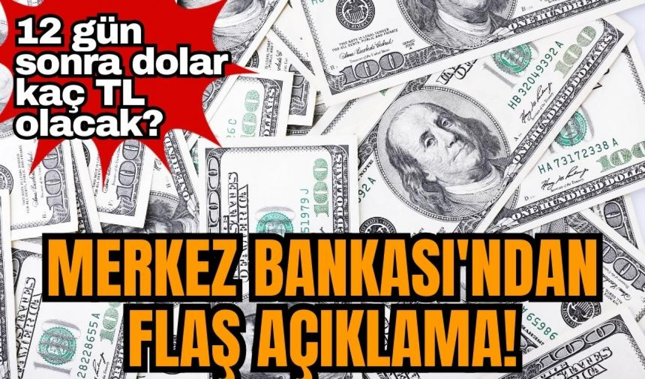 Merkez Bankası'ndan flaş açıklama! 12 gün sonra dolar kaç TL olacak?