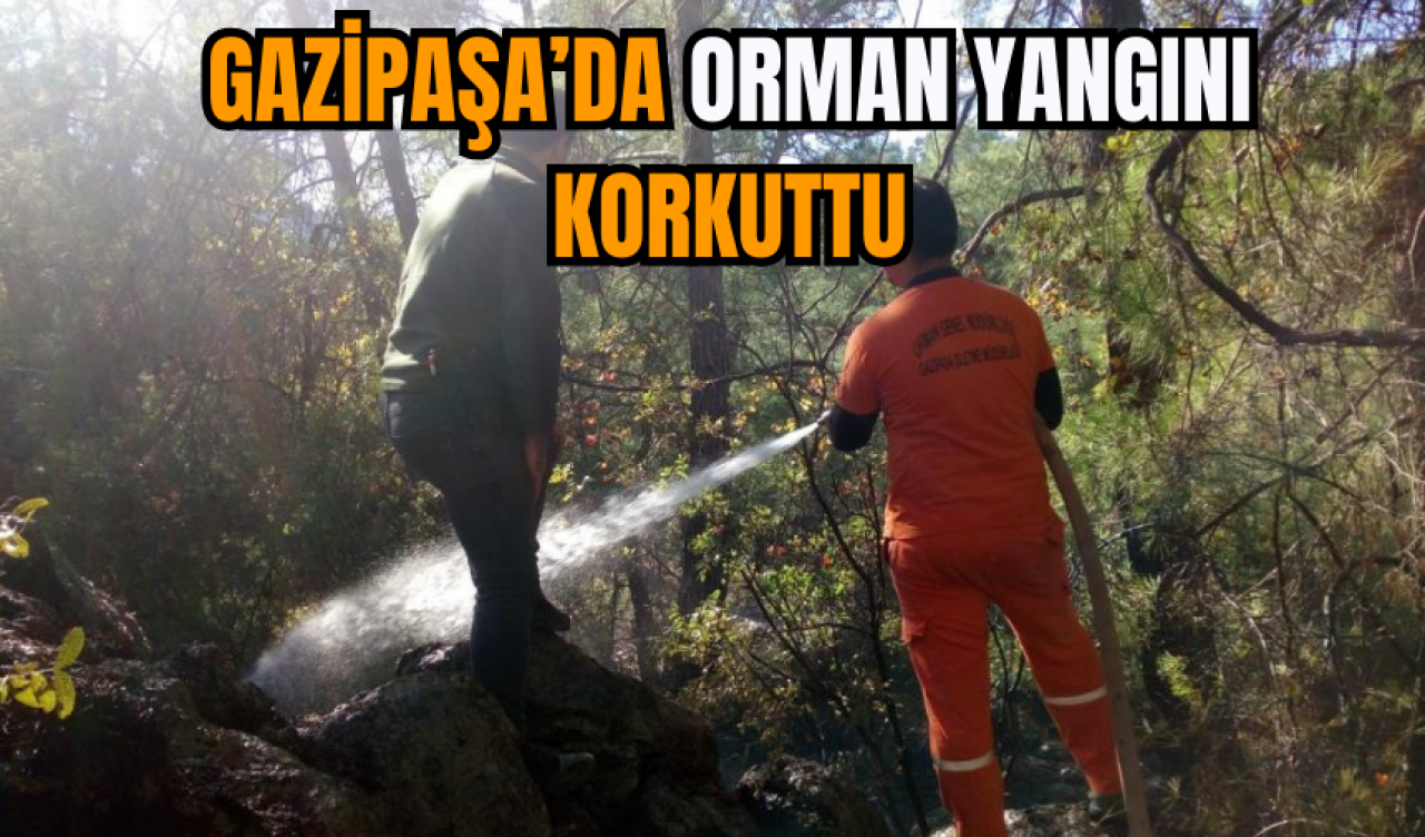 Gazipaşa’da Orman Yangını Korkuttu