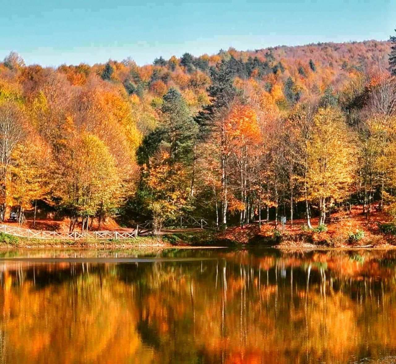 Düzce' de büyüleyici güzellik