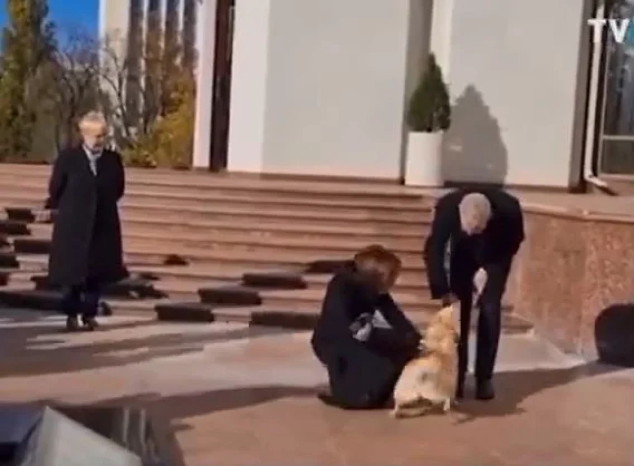 Moldova Cumhurbaşkanı'nın köpeği Avusturya Cumhurbaşkanını ısırdı