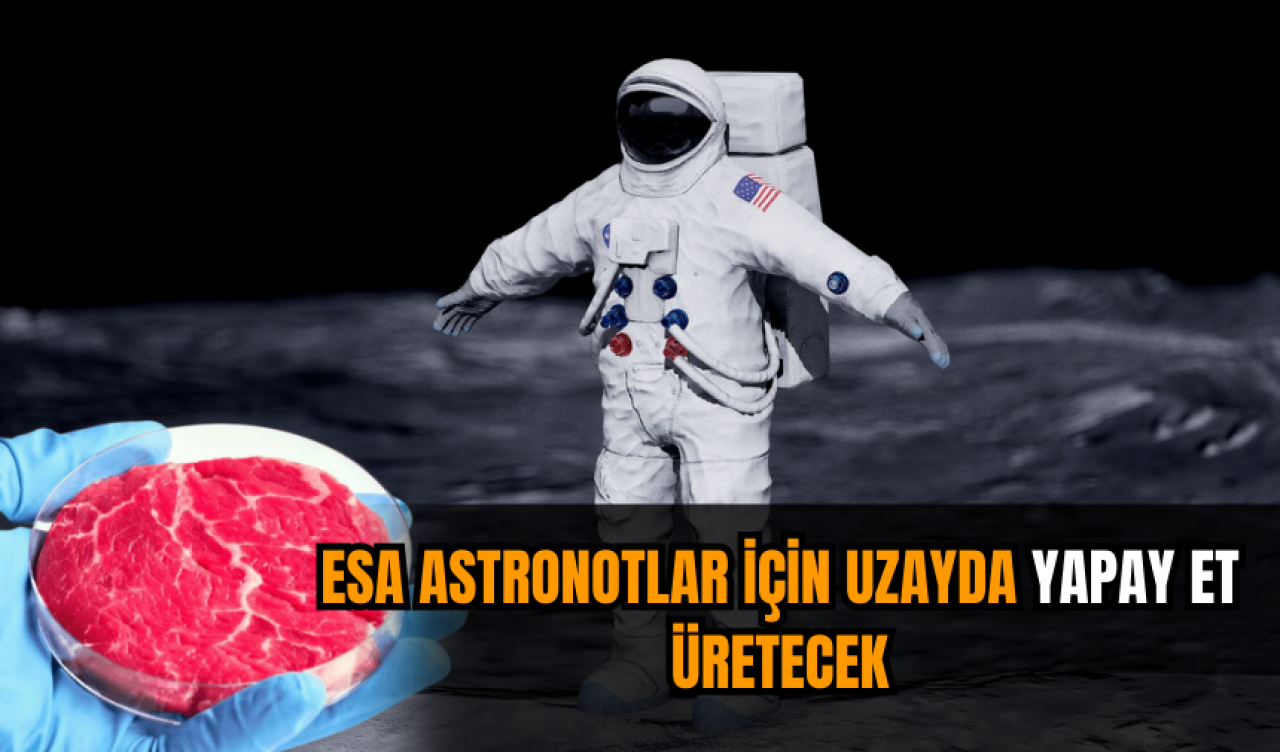 ESA astronotlar için uzayda yapay et üretecek