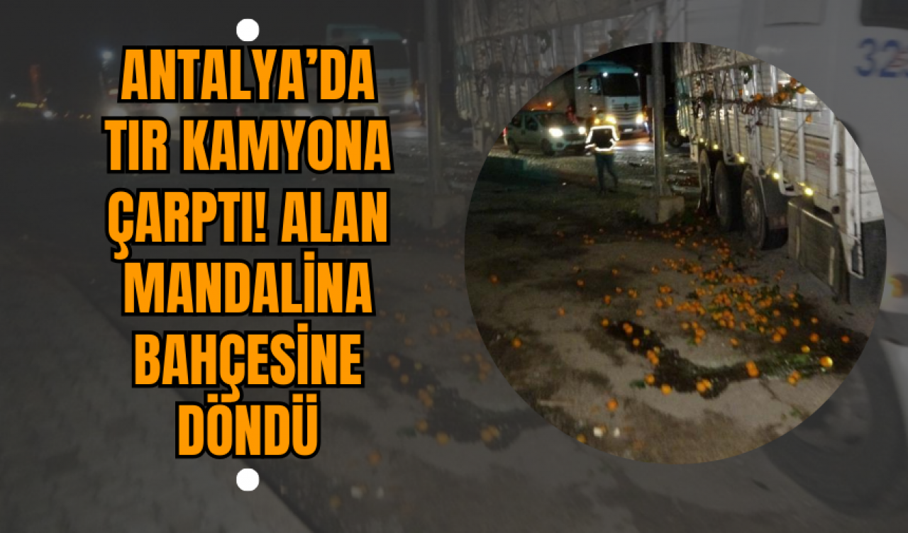 Antalya’da Tır Kamyona Çarptı! Alan Mandalina Bahçesine Döndü