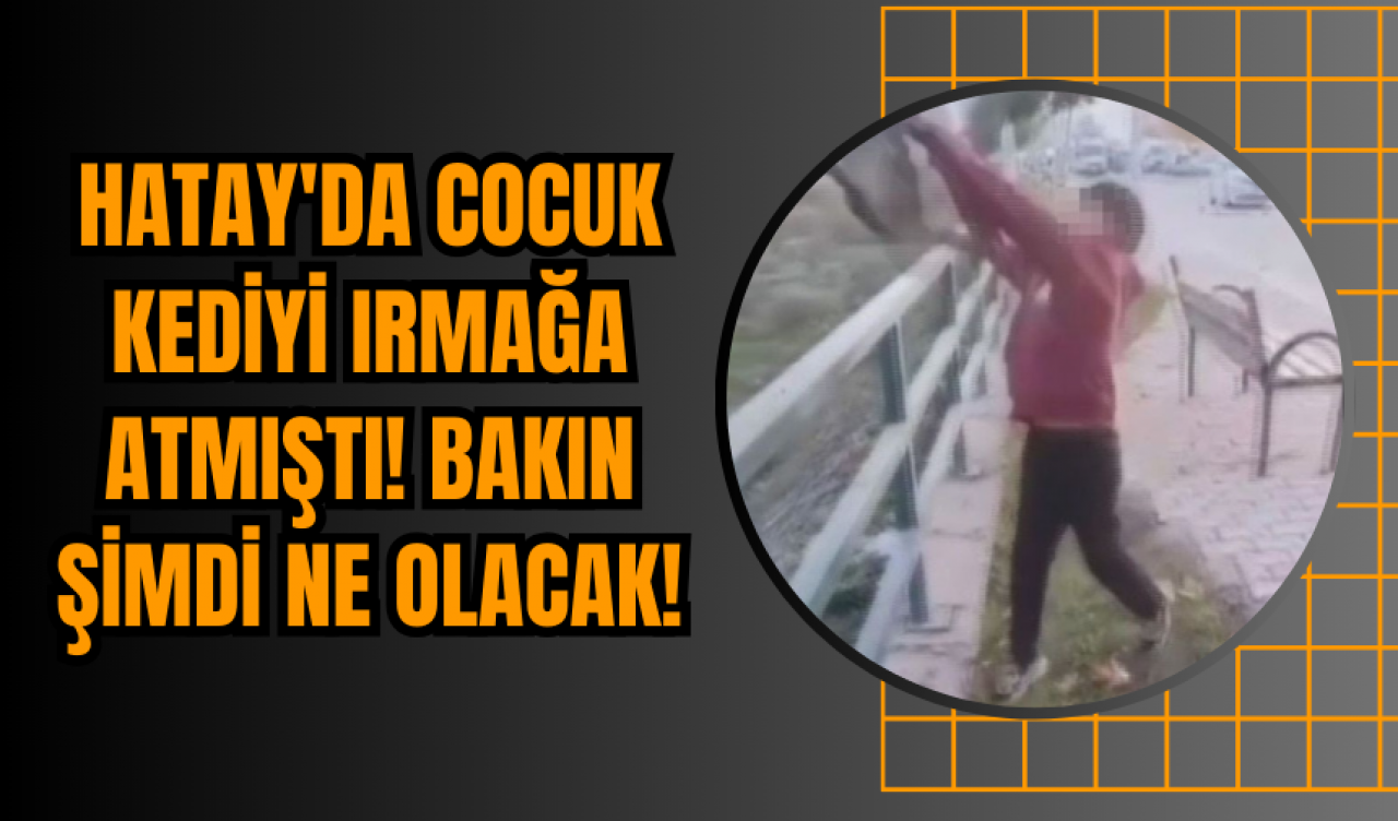 Hatay'da cocuk kediyi Irmağa atmıştı!  Bakın şimdi ne olacak!