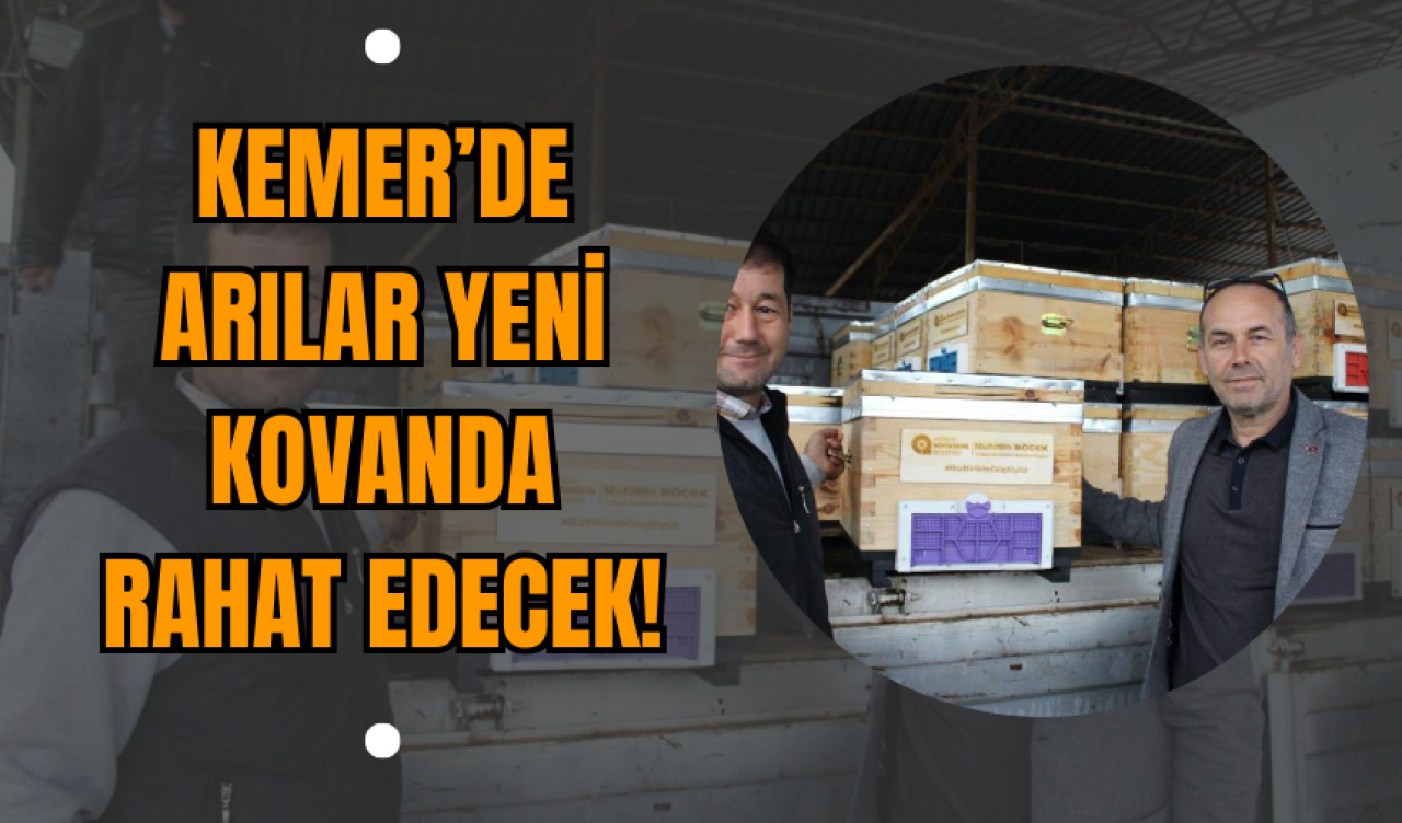 Kemer’de Arılar Yeni Kovanda Rahat Edecek!