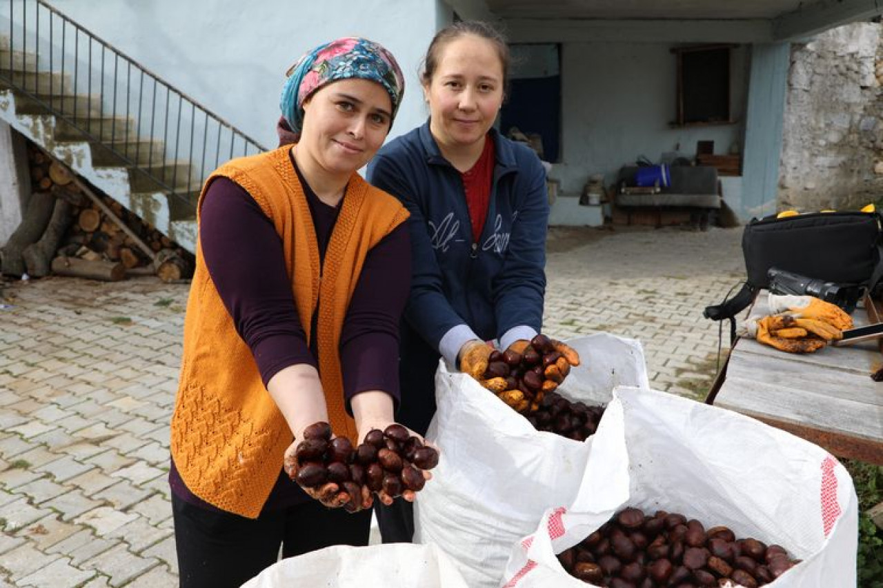 Kışın vazgeçilmezi! Denizli'de kestanenin sofralara yolculuğu başladı