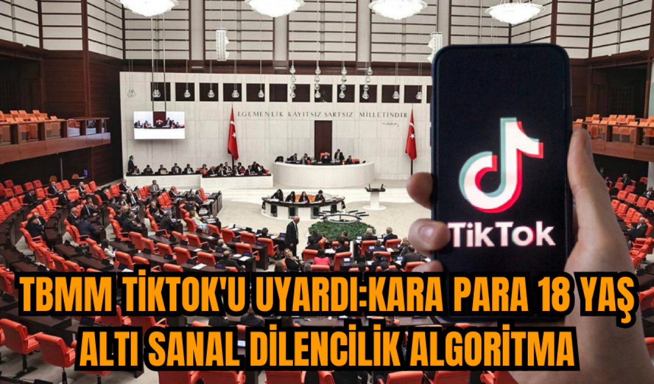 TBMM TikTok'u uyardı:Kara para 18 yaş altı sanal dilencilik algoritma