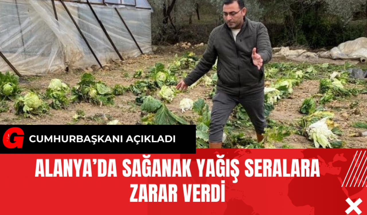 Alanya’da Sağanak Yağış Seralara Zarar Verdi