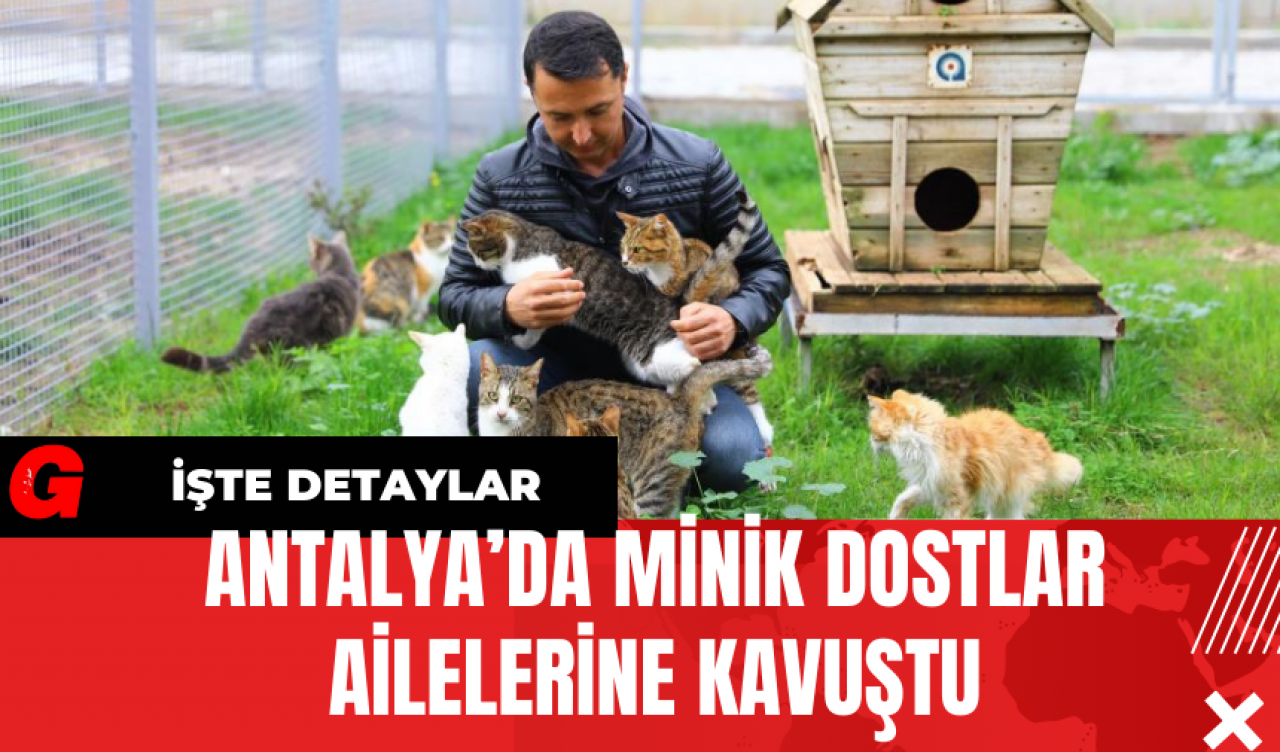 Antalya’da Minik Dostlar Ailelerine Kavuştu