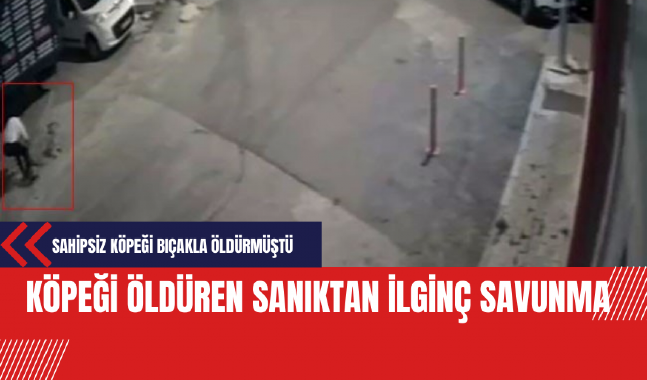 Köpeği öldüren sanıktan ilginç savunma