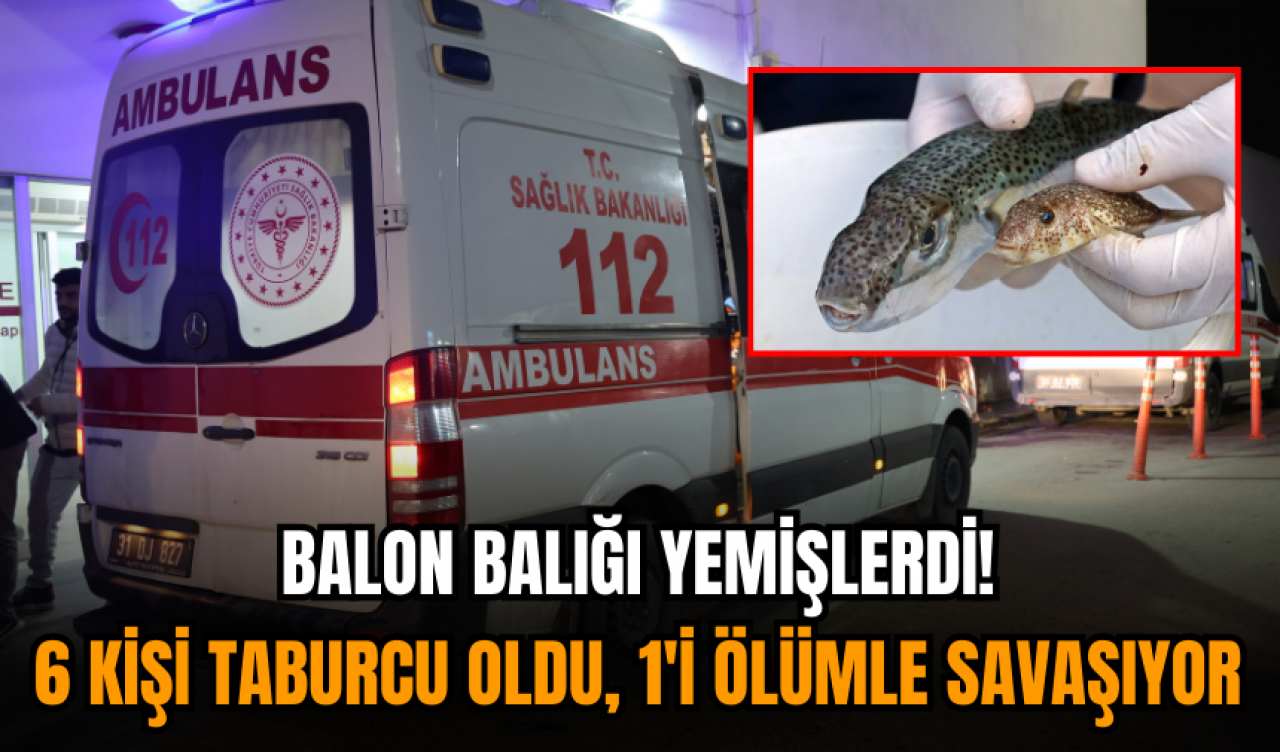 Balon balığı yemişlerdi! 6 kişi taburcu oldu, 1'i ölümle savaşıyor