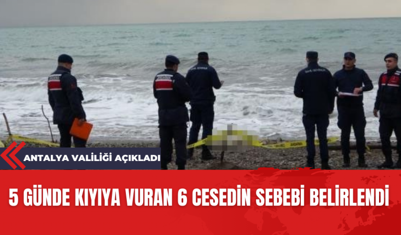 Antalya'da kıyıya vuran ces*tlerin sebebi gün yüzüne çıktı