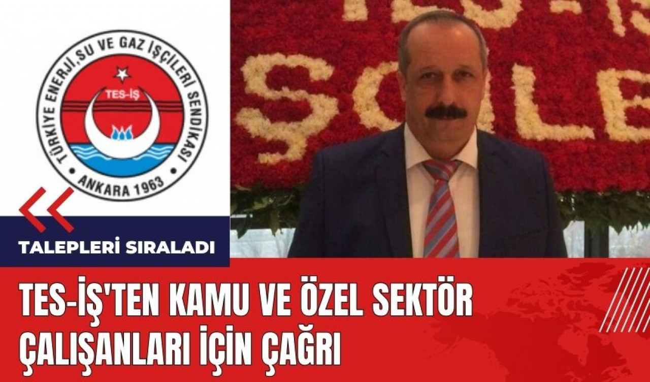 TES-İŞ'ten kamu ve özel sektör çalışanları için çağrı