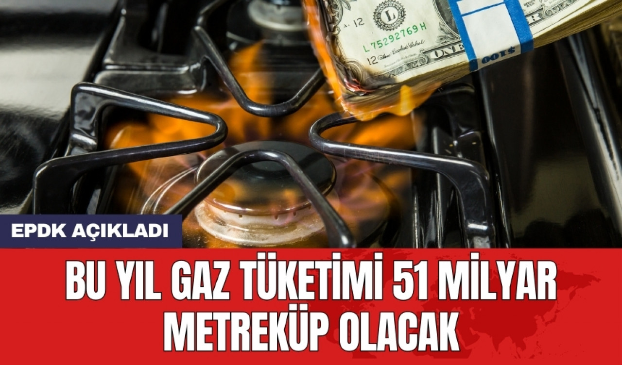 EPDK: Bu yıl gaz tüketimi 51 milyar metreküp olacak