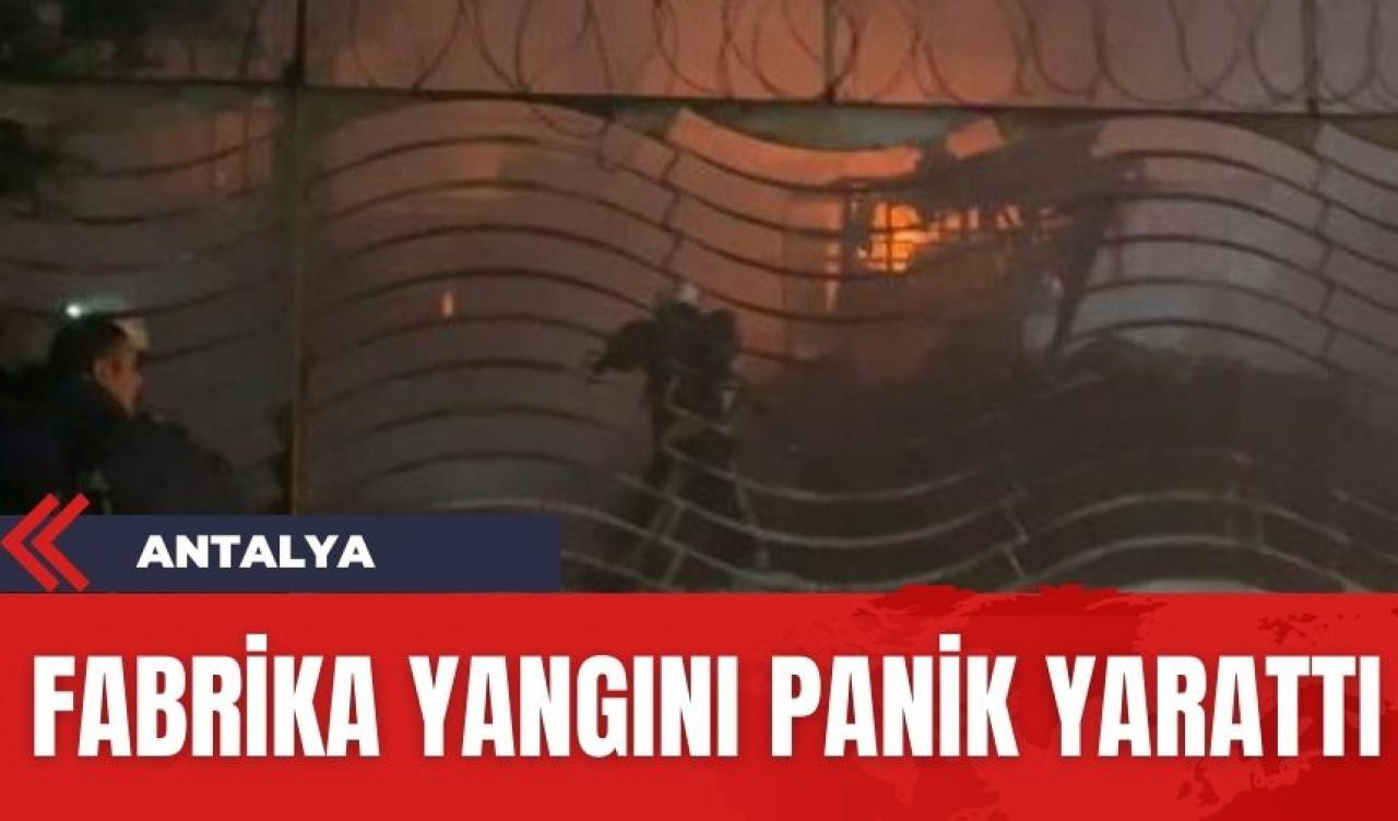 Fabrika yangını geceyi aydınlattı