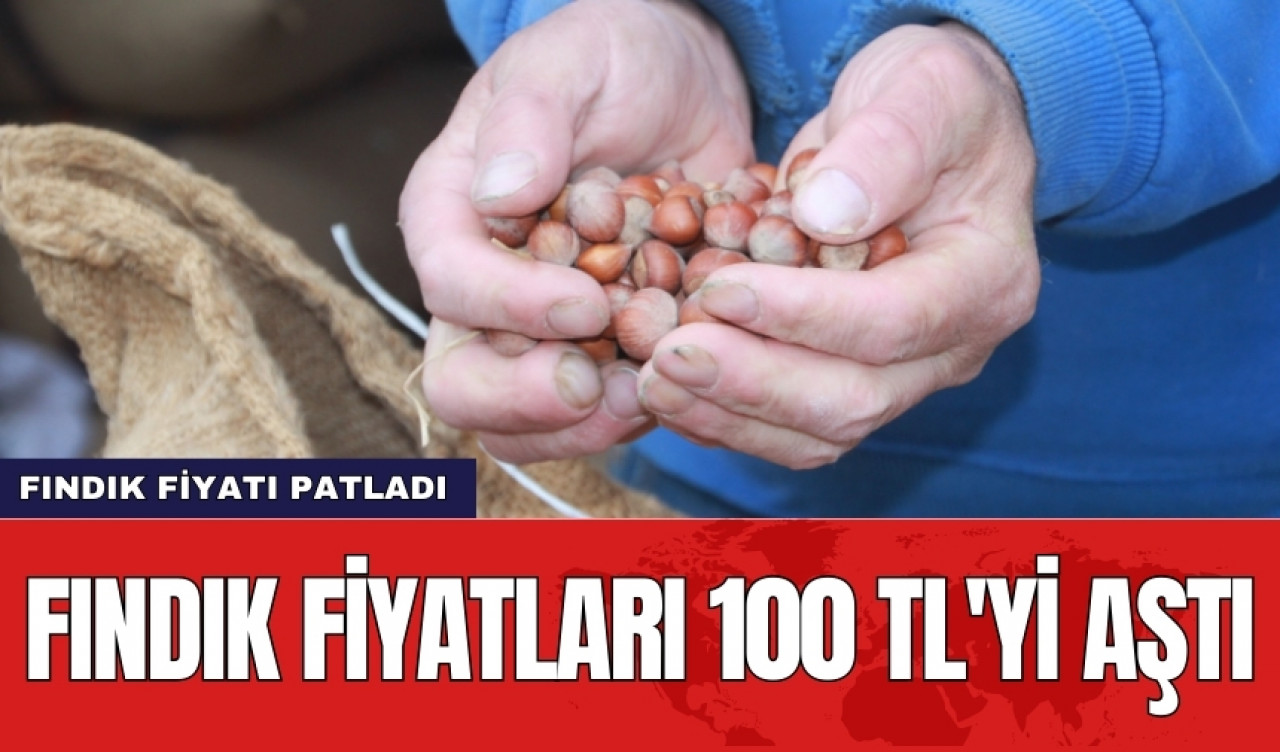 Fındık fiyatları 100 TL'yi aştı