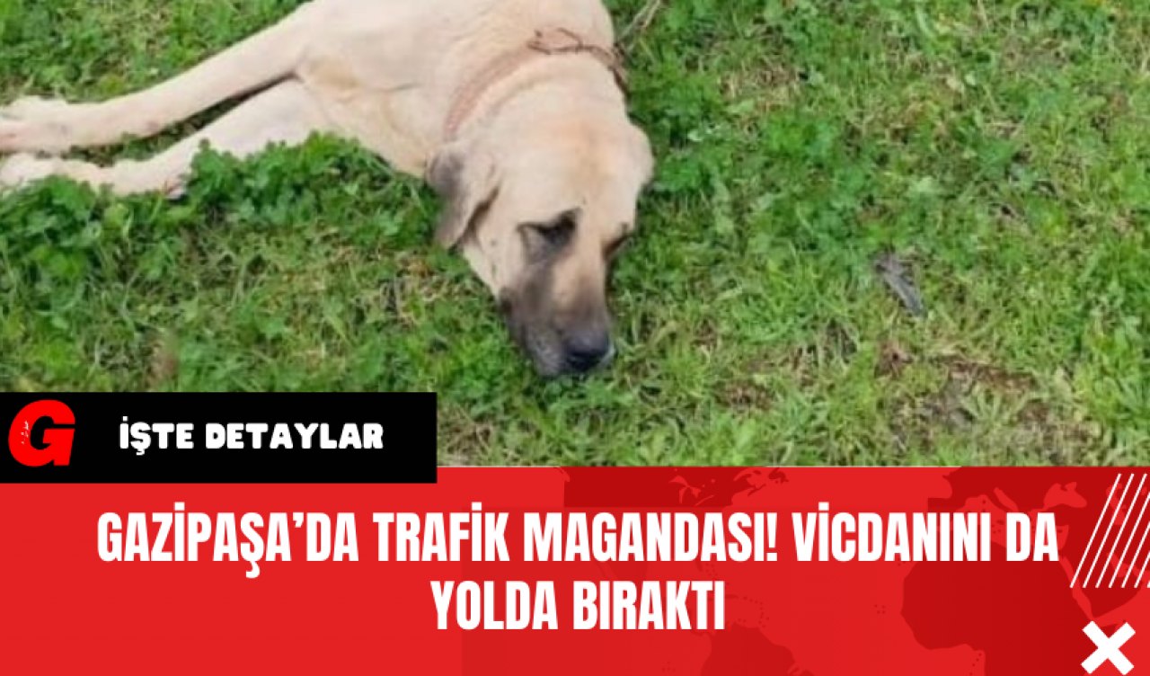 Gazipaşa’da Trafik Magandası! Vicdanını Da Yolda Bıraktı