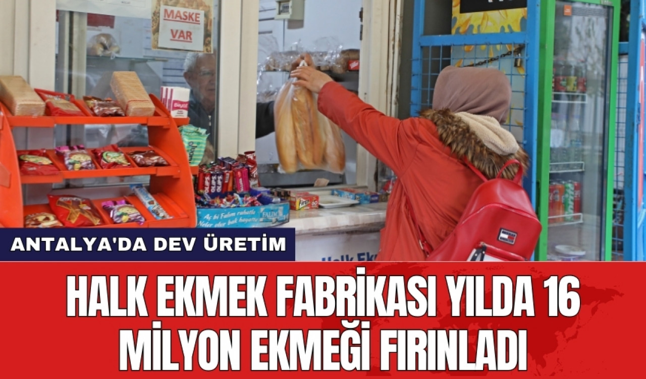 Antalya'da dev üretim: Halk ekmek fabrikası yılda 16 milyon ekmeği fırınladı