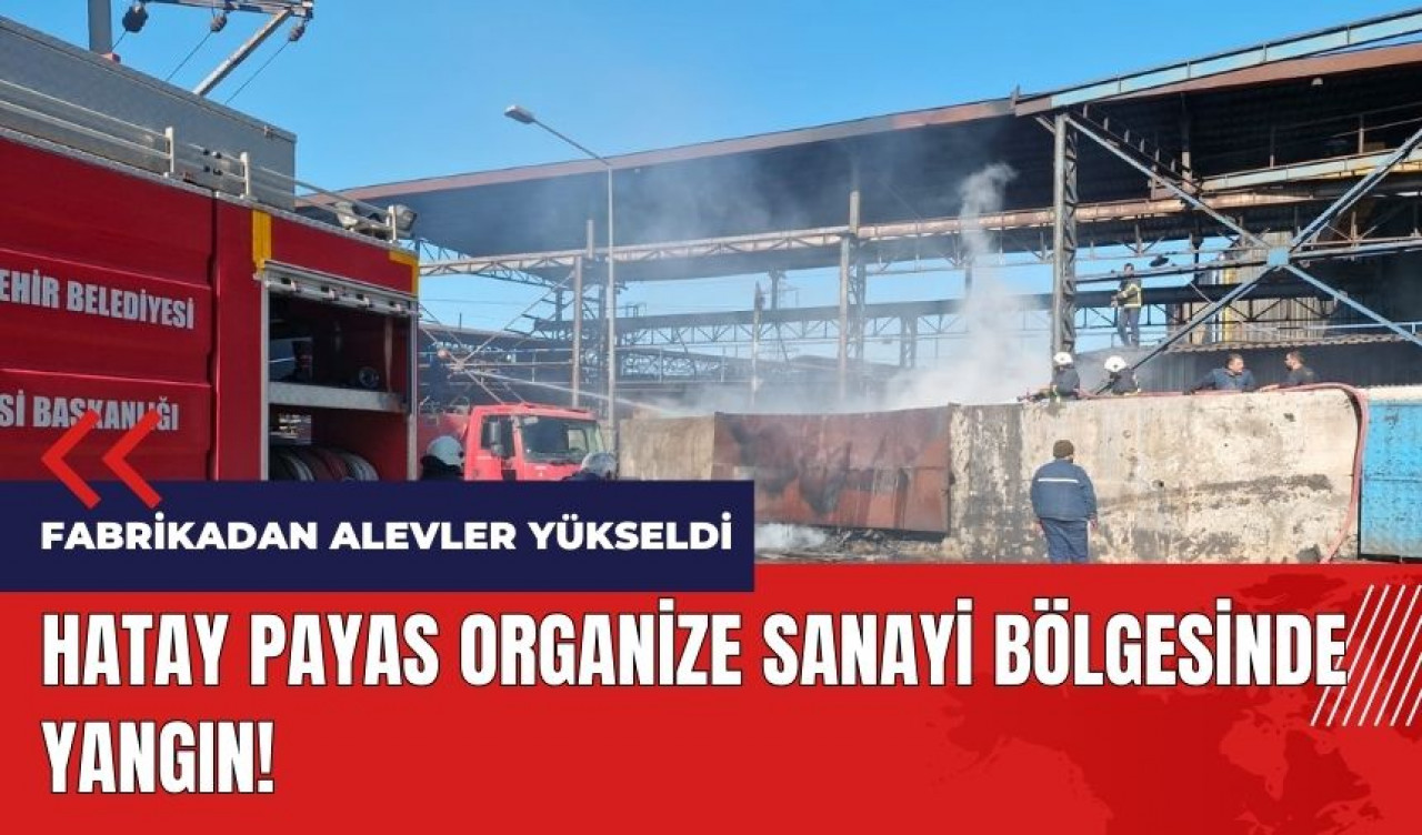 Hatay Payas Organize Sanayi Bölgesinde yangın!