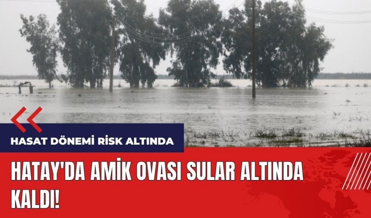 Hatay'da Amik Ovası sular altında kaldı