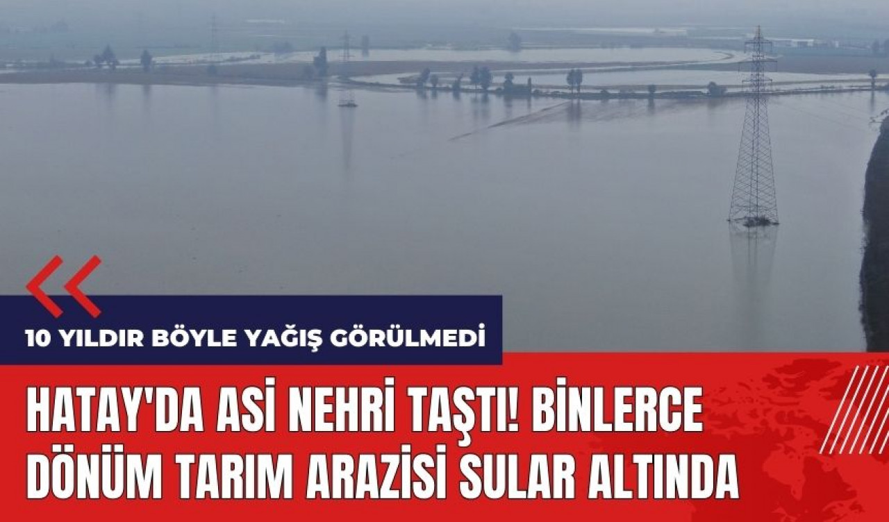 Hatay'da Asi Nehri taştı! Binlerce dönüm tarım arazisi sular altında