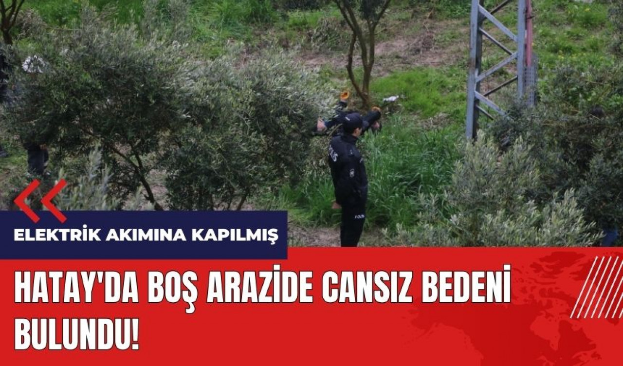 Hatay'da boş arazide cansız bedeni bulundu